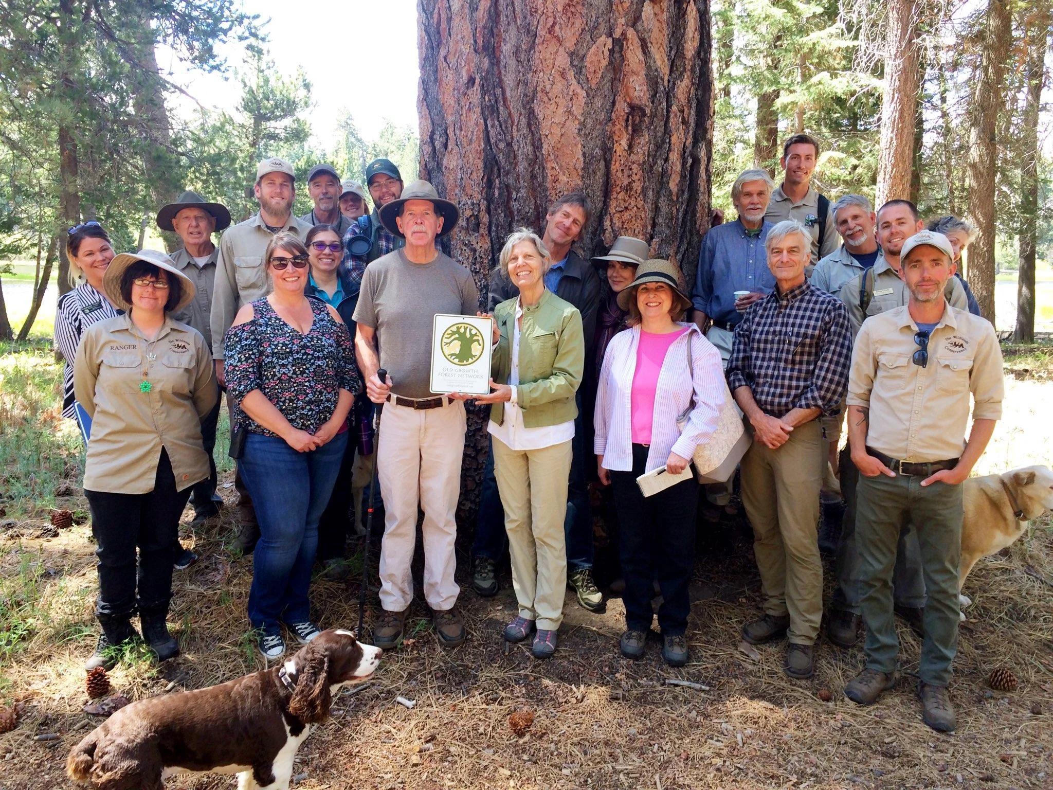 Bluff Lake Reserve — Old-Growth Forest Network